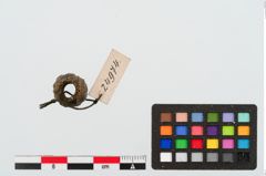 Foto von Glasringaugenperle (NHMW-PRAE-024974)